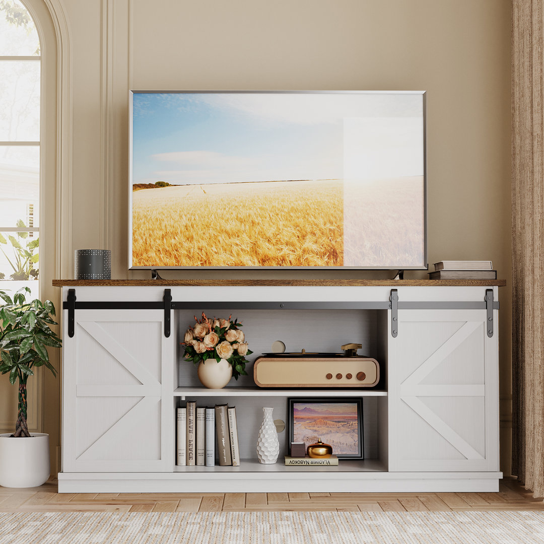 Hartin TV Stand with Sliding Barn Doors for TVs up to 65"